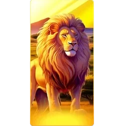 Lion
Safari